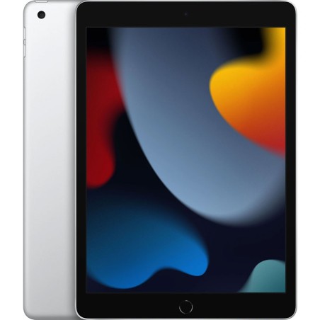 Apple iPad (2021) 10.2 inch 256GB Wifi + 4G Zilver
